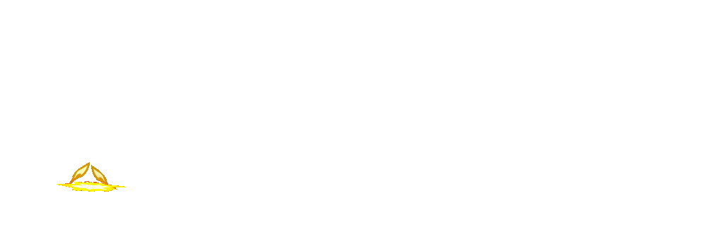 Logo KUDALIAR89